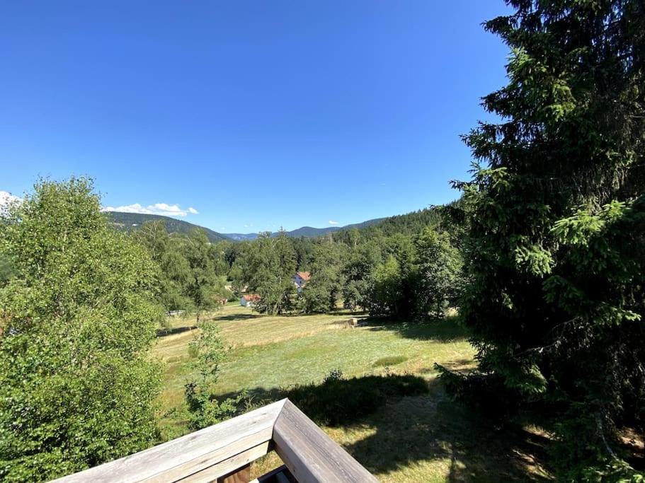 Le Chalet Des Coeurs Le Tholy Εξωτερικό φωτογραφία